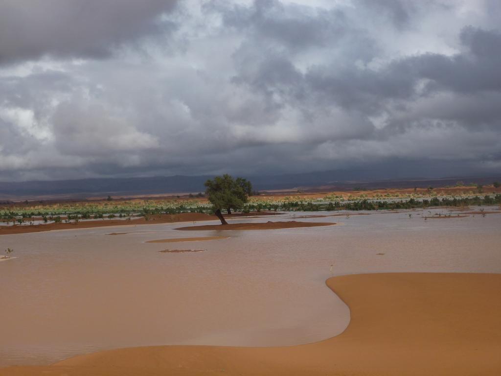 Atta Desert Camp El Gouera Esterno foto