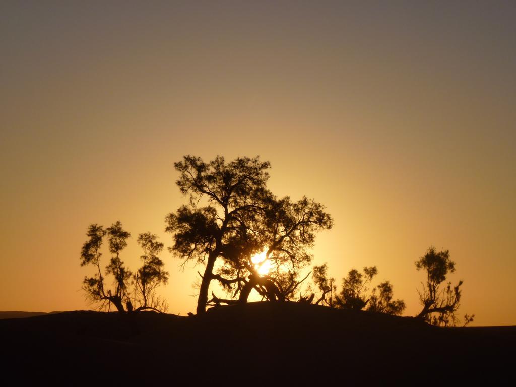 Atta Desert Camp El Gouera Esterno foto